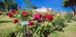 Rose Garden Aventine Hill Rome